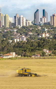 Skyline de Cascavel